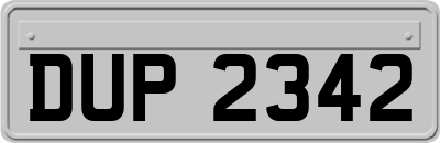 DUP2342