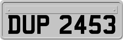 DUP2453