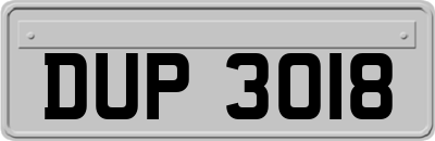 DUP3018