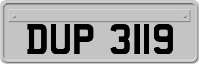 DUP3119