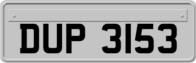 DUP3153