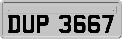DUP3667