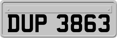 DUP3863