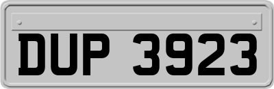 DUP3923