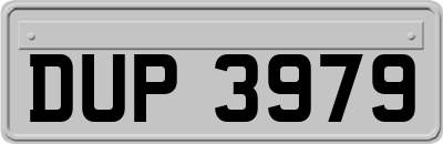 DUP3979