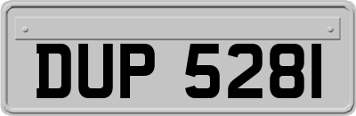 DUP5281