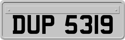 DUP5319