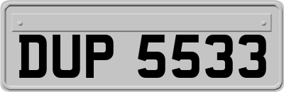 DUP5533