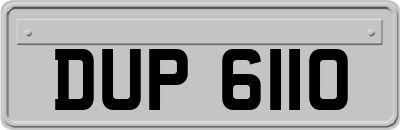 DUP6110