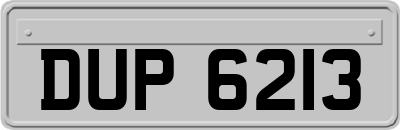 DUP6213