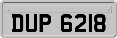DUP6218