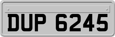 DUP6245
