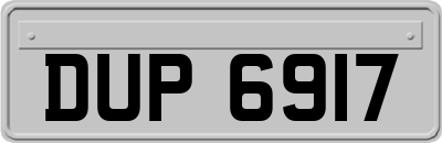 DUP6917