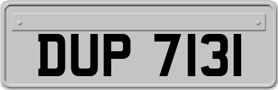 DUP7131