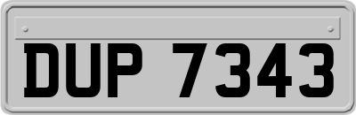 DUP7343