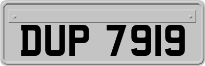 DUP7919