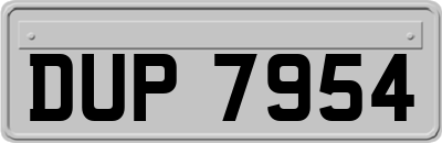 DUP7954