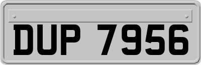 DUP7956