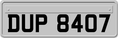 DUP8407