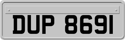DUP8691