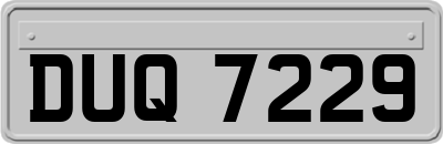 DUQ7229