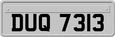 DUQ7313