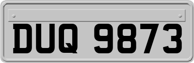 DUQ9873