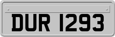 DUR1293