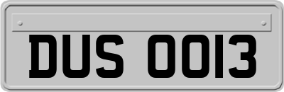 DUS0013