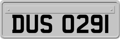 DUS0291