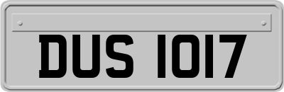 DUS1017