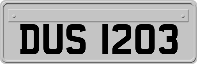 DUS1203