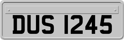 DUS1245