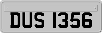 DUS1356