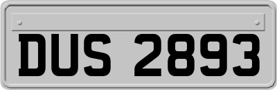 DUS2893