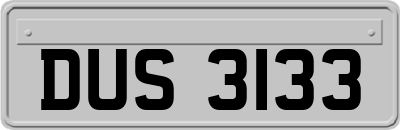 DUS3133