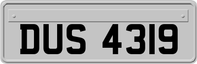 DUS4319