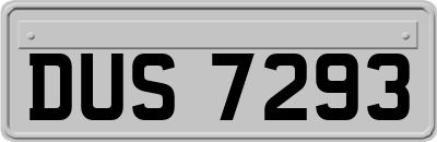 DUS7293