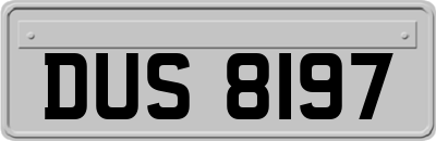 DUS8197