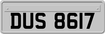 DUS8617