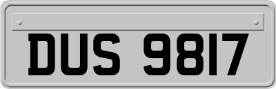 DUS9817