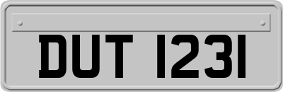 DUT1231