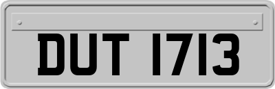 DUT1713