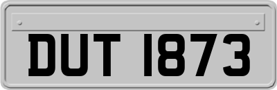 DUT1873
