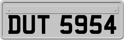 DUT5954