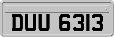 DUU6313
