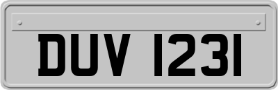 DUV1231