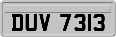 DUV7313