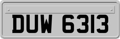 DUW6313