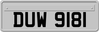 DUW9181